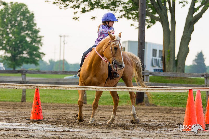 4H-FUN-060813-1555.jpg