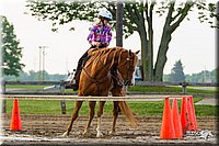4H-FUN-060813-1505.jpg