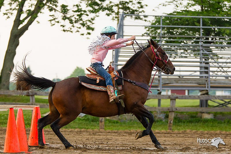 4H-FUN-060813-1579.jpg