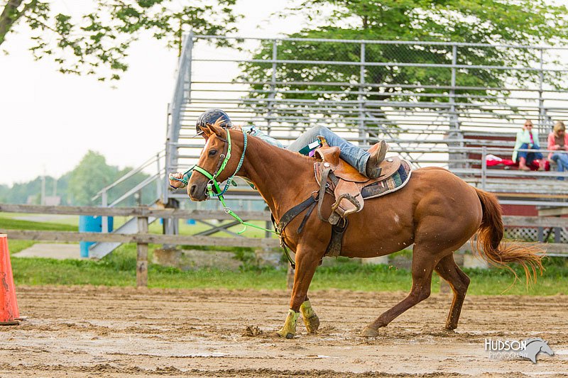 4H-FUN-060813-1587.jpg