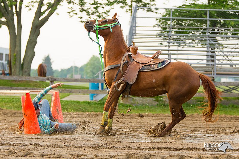 4H-FUN-060813-1590.jpg