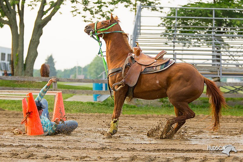 4H-FUN-060813-1591.jpg