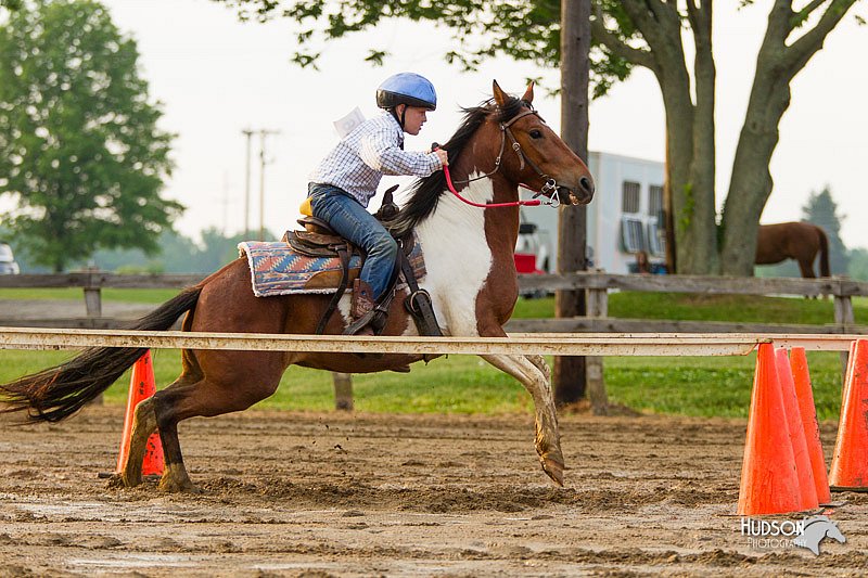 4H-FUN-060813-1603.jpg