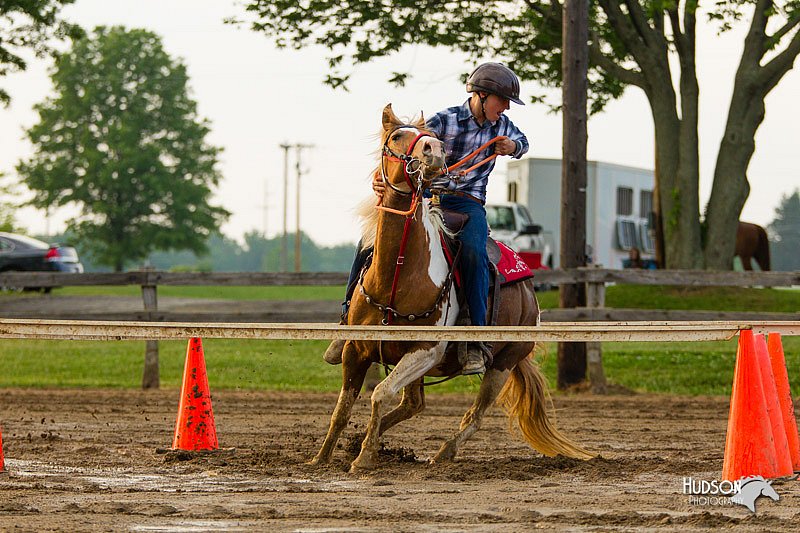 4H-FUN-060813-1607.jpg