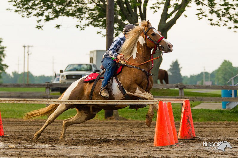 4H-FUN-060813-1610.jpg
