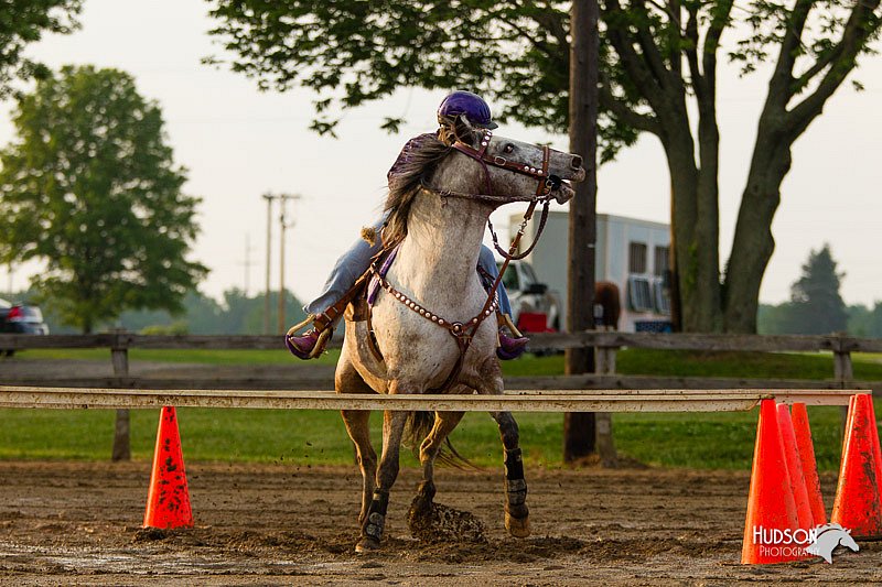4H-FUN-060813-1617.jpg