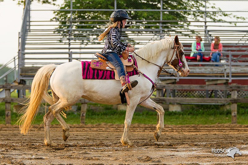 4H-FUN-060813-1627.jpg