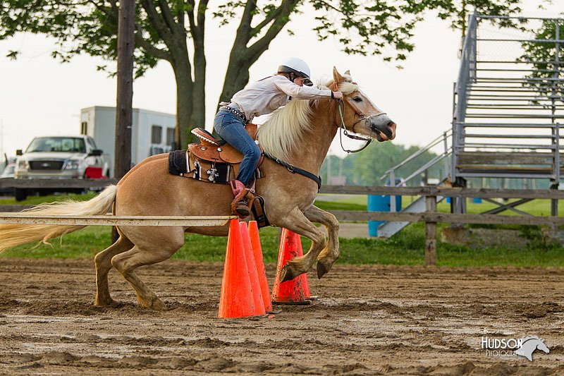 4H-FUN-060813-1631.jpg