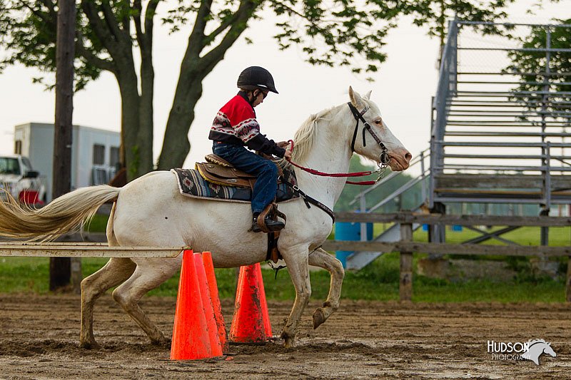 4H-FUN-060813-1637.jpg