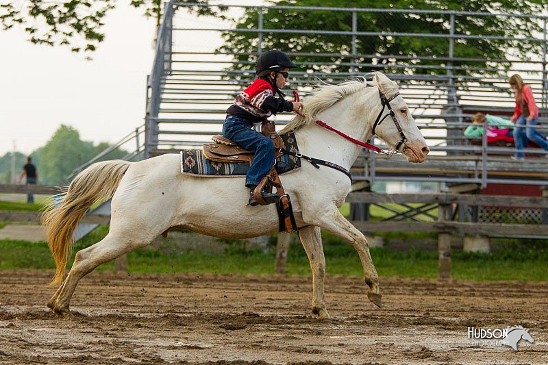 4H-FUN-060813-1640.jpg