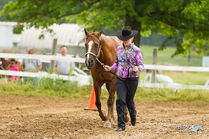 4H-FUN-060813-0085.jpg