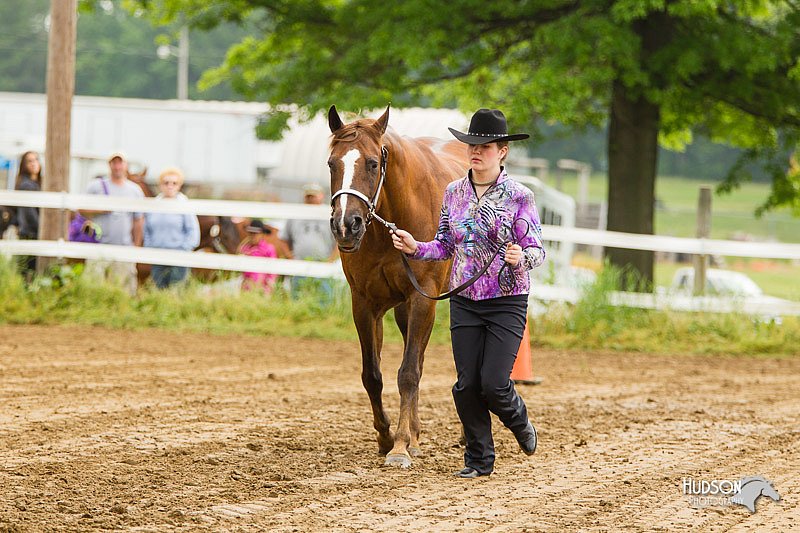 4H-FUN-060813-0086.jpg