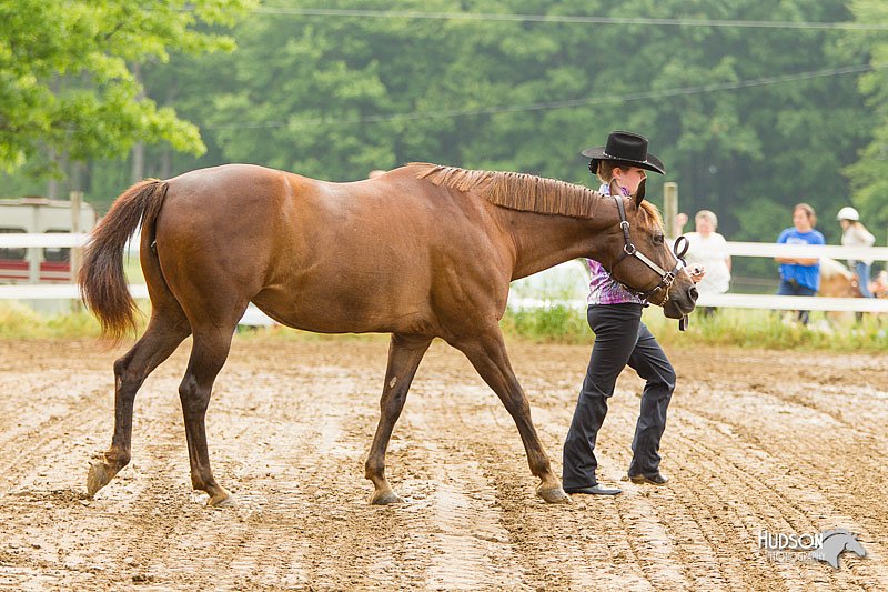 4H-FUN-060813-0089.jpg