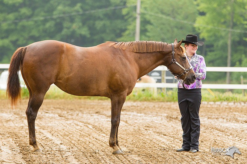 4H-FUN-060813-0090.jpg