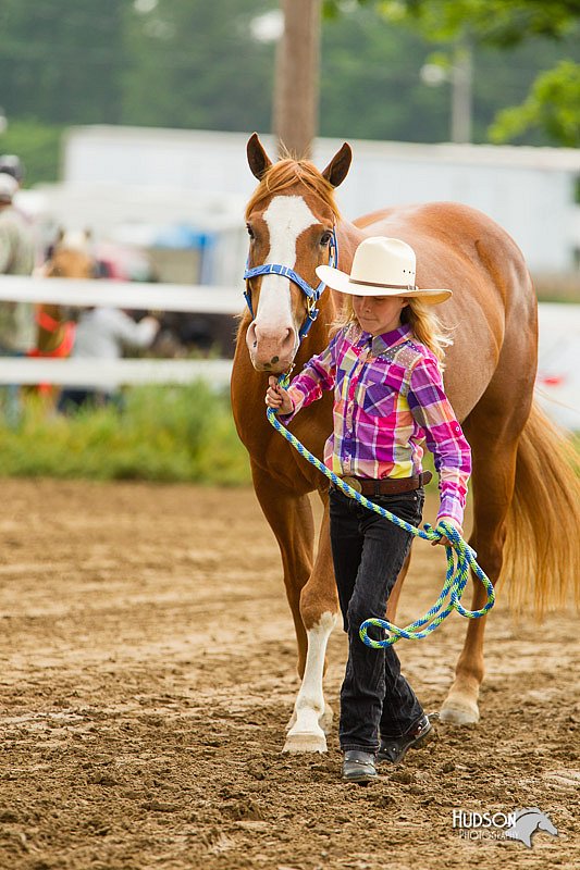 4H-FUN-060813-0094.jpg