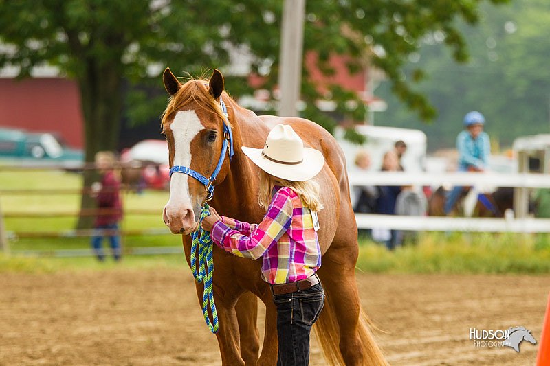 4H-FUN-060813-0096.jpg