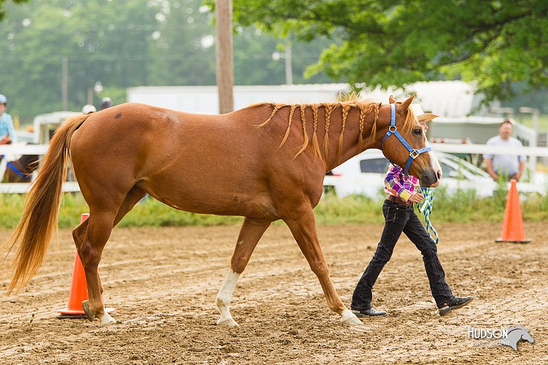 4H-FUN-060813-0097.jpg