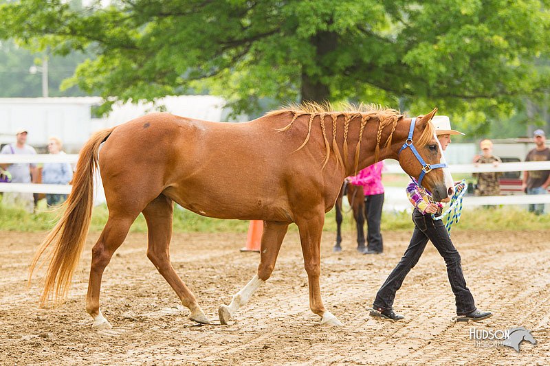 4H-FUN-060813-0098.jpg