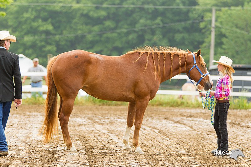 4H-FUN-060813-0099.jpg