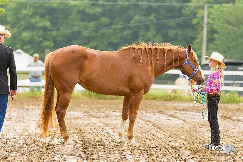 4H-FUN-060813-0100.jpg