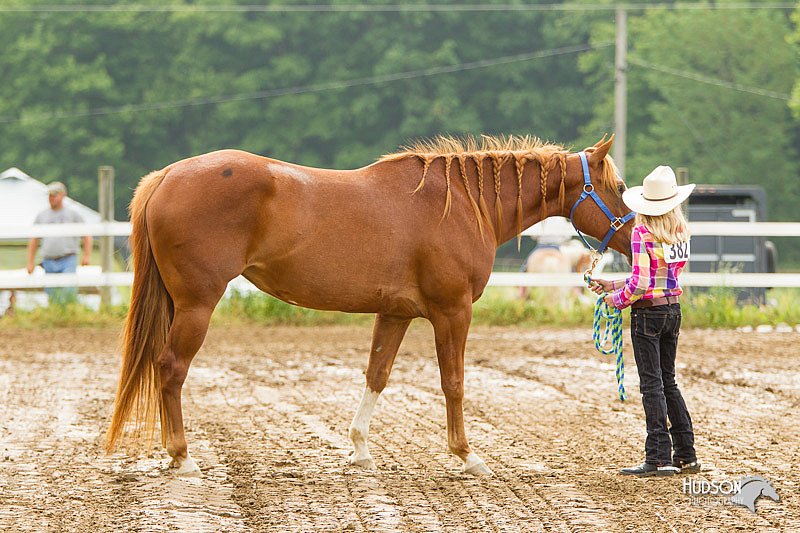 4H-FUN-060813-0101.jpg