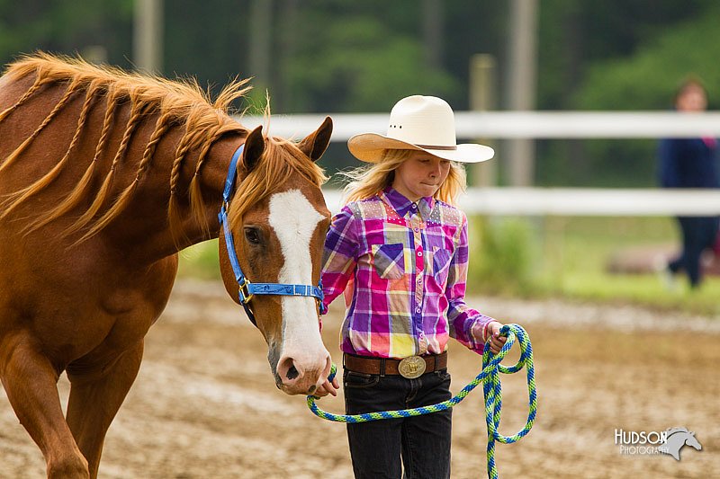 4H-FUN-060813-0102.jpg