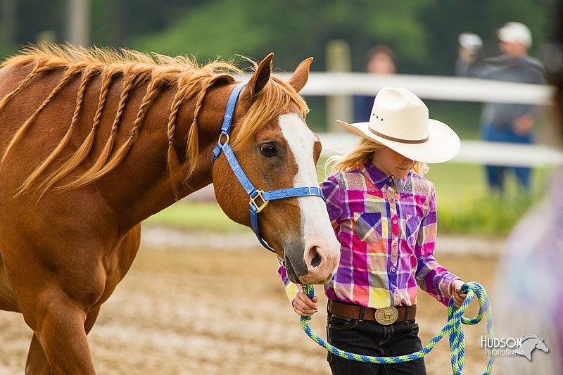 4H-FUN-060813-0103.jpg