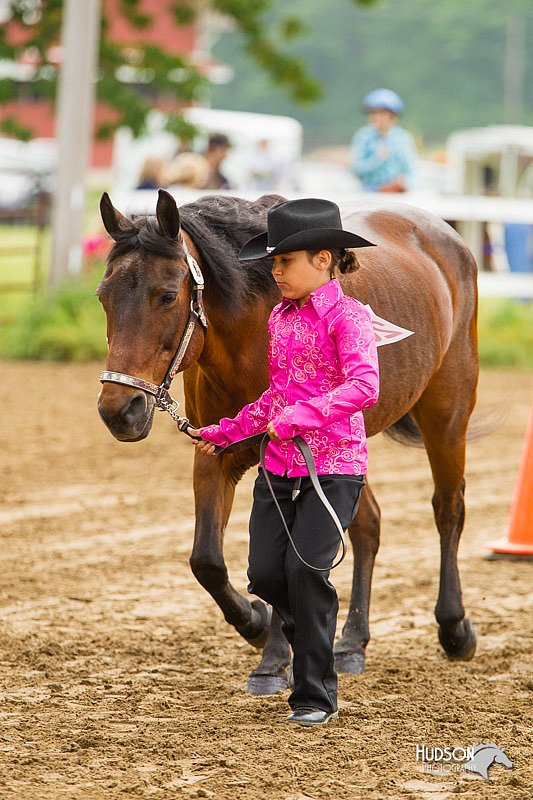 4H-FUN-060813-0109.jpg