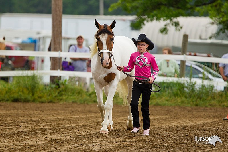 4H-FUN-060813-0116.jpg