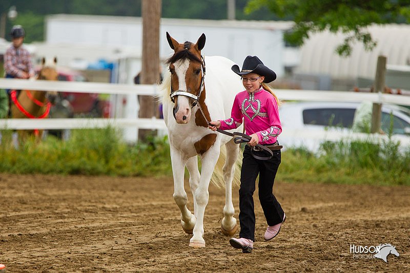 4H-FUN-060813-0117.jpg