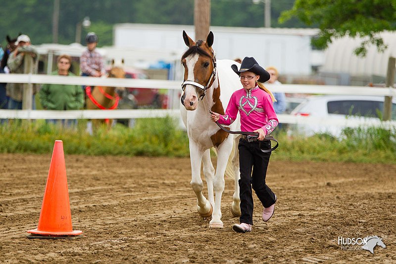 4H-FUN-060813-0118.jpg