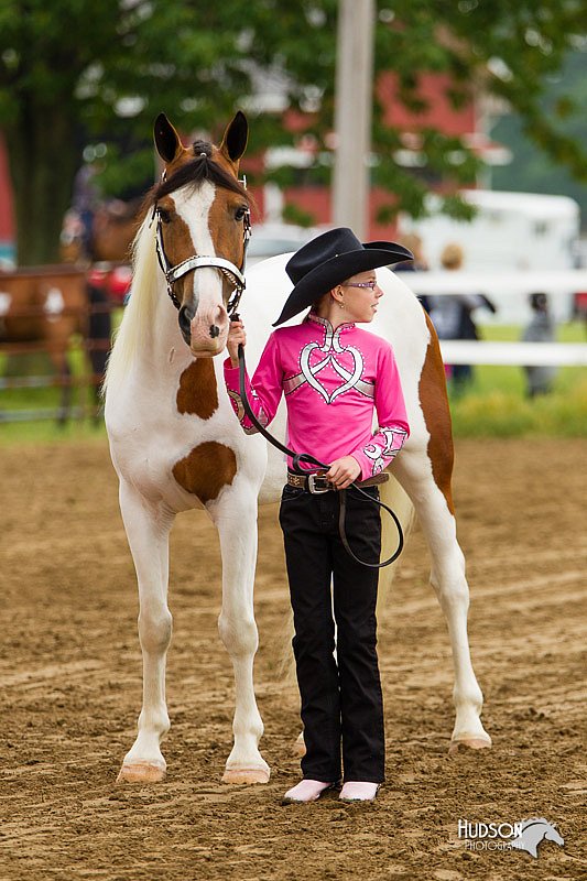4H-FUN-060813-0122.jpg