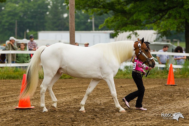 4H-FUN-060813-0123.jpg