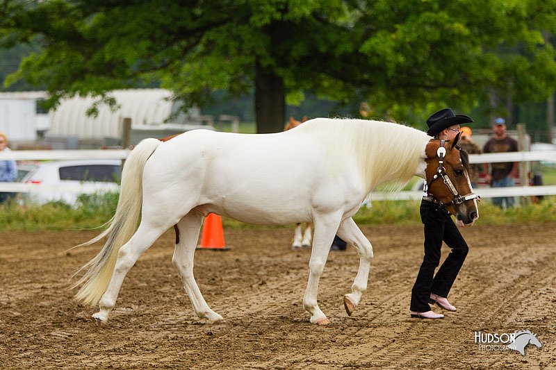4H-FUN-060813-0124.jpg