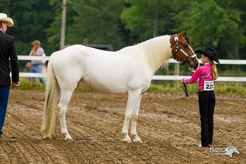 4H-FUN-060813-0128.jpg