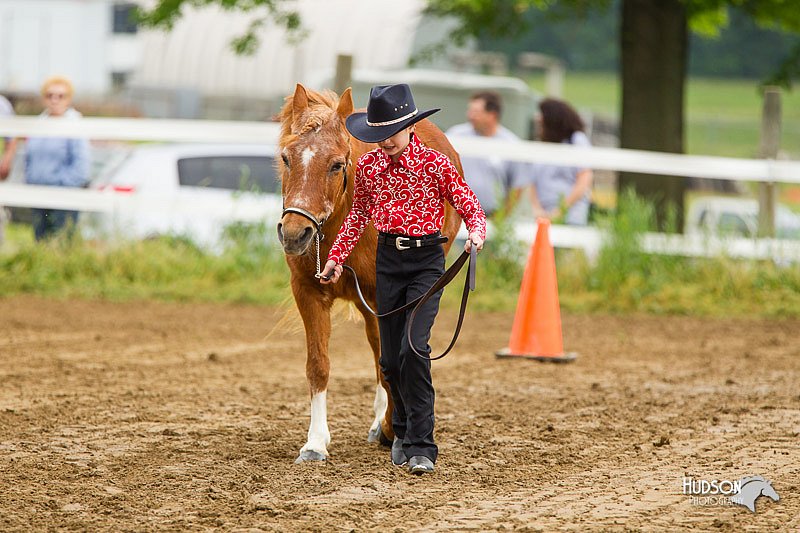 4H-FUN-060813-0131.jpg