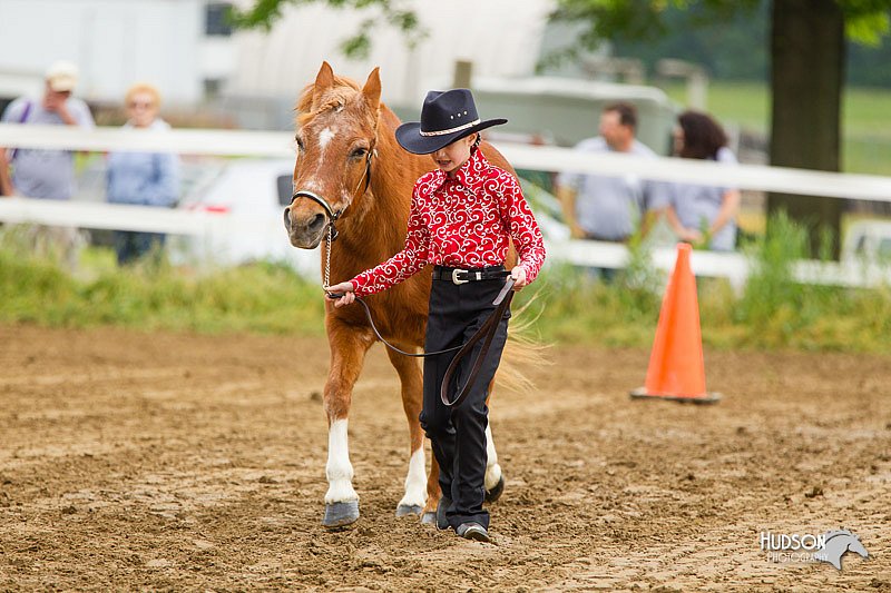 4H-FUN-060813-0132.jpg