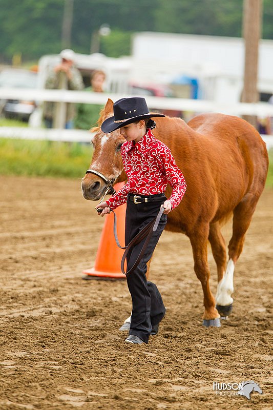 4H-FUN-060813-0134.jpg
