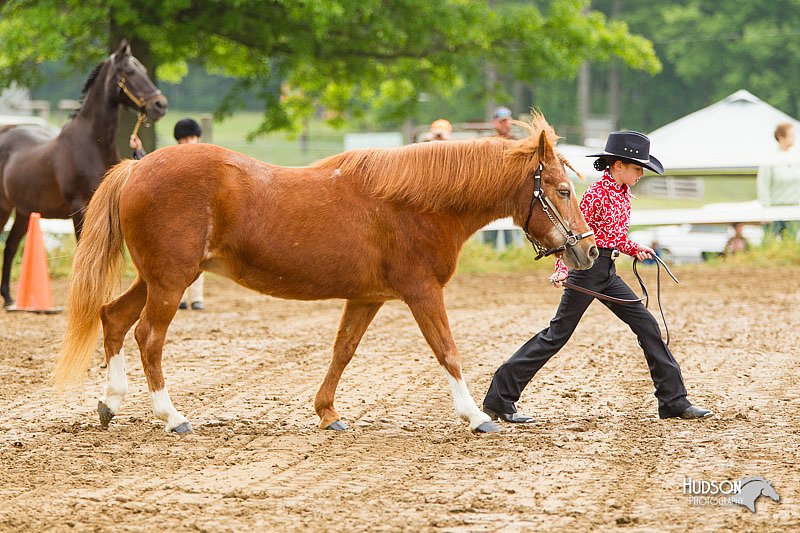 4H-FUN-060813-0135.jpg