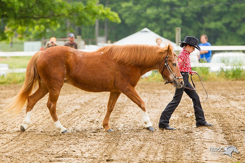 4H-FUN-060813-0136.jpg