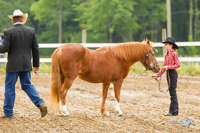 4H-FUN-060813-0137.jpg