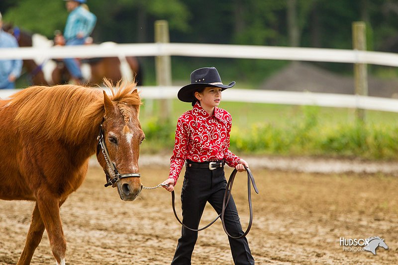 4H-FUN-060813-0138.jpg