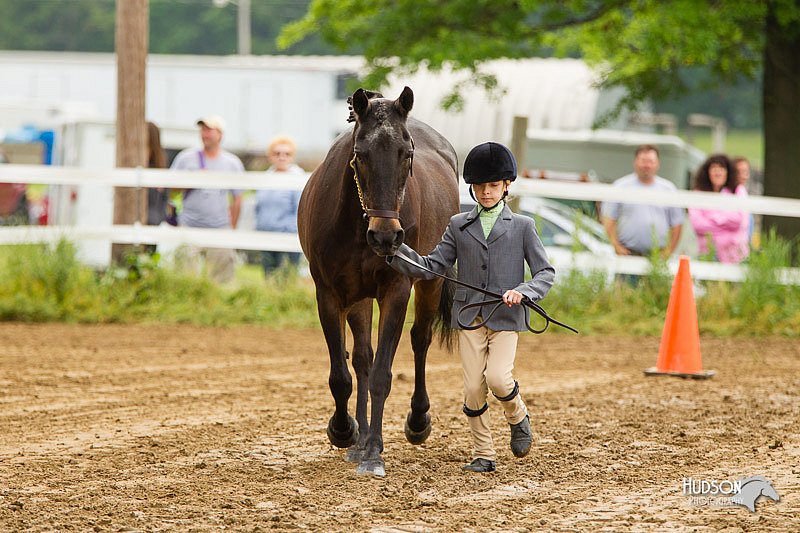 4H-FUN-060813-0141.jpg
