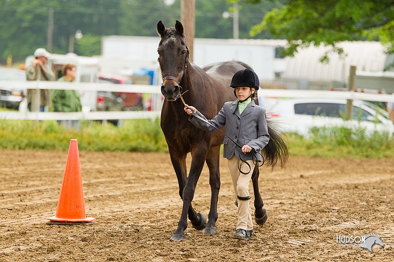 4H-FUN-060813-0142.jpg