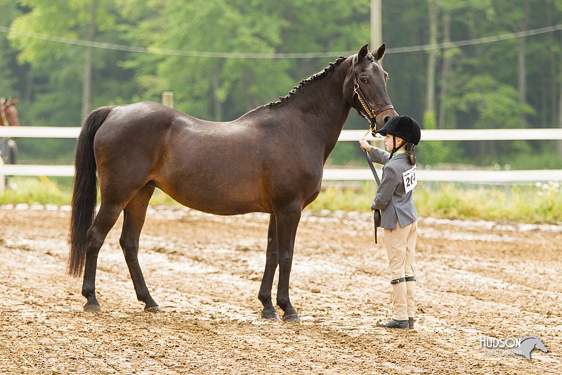 4H-FUN-060813-0144.jpg