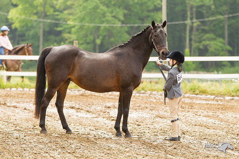4H-FUN-060813-0145.jpg