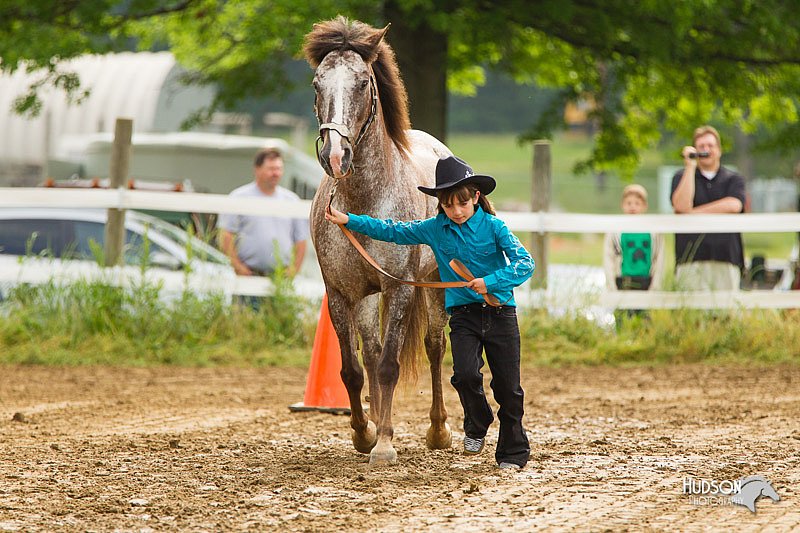 4H-FUN-060813-0146.jpg