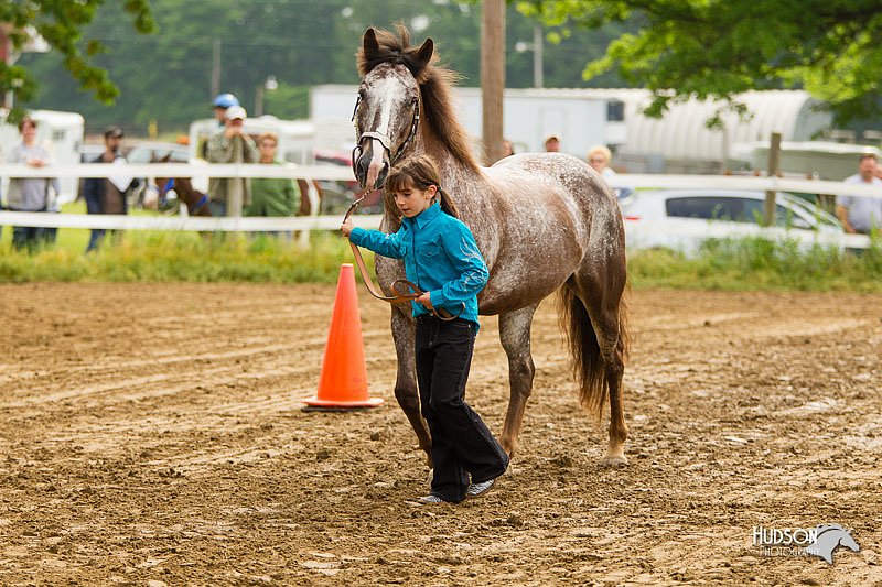 4H-FUN-060813-0148.jpg