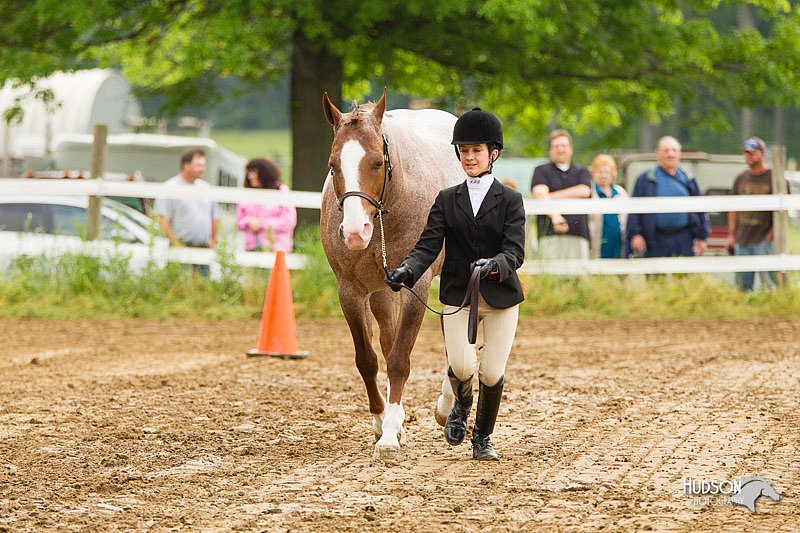 4H-FUN-060813-0151.jpg