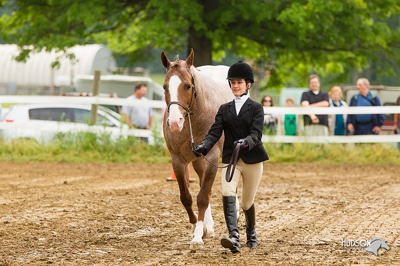 4H-FUN-060813-0152.jpg